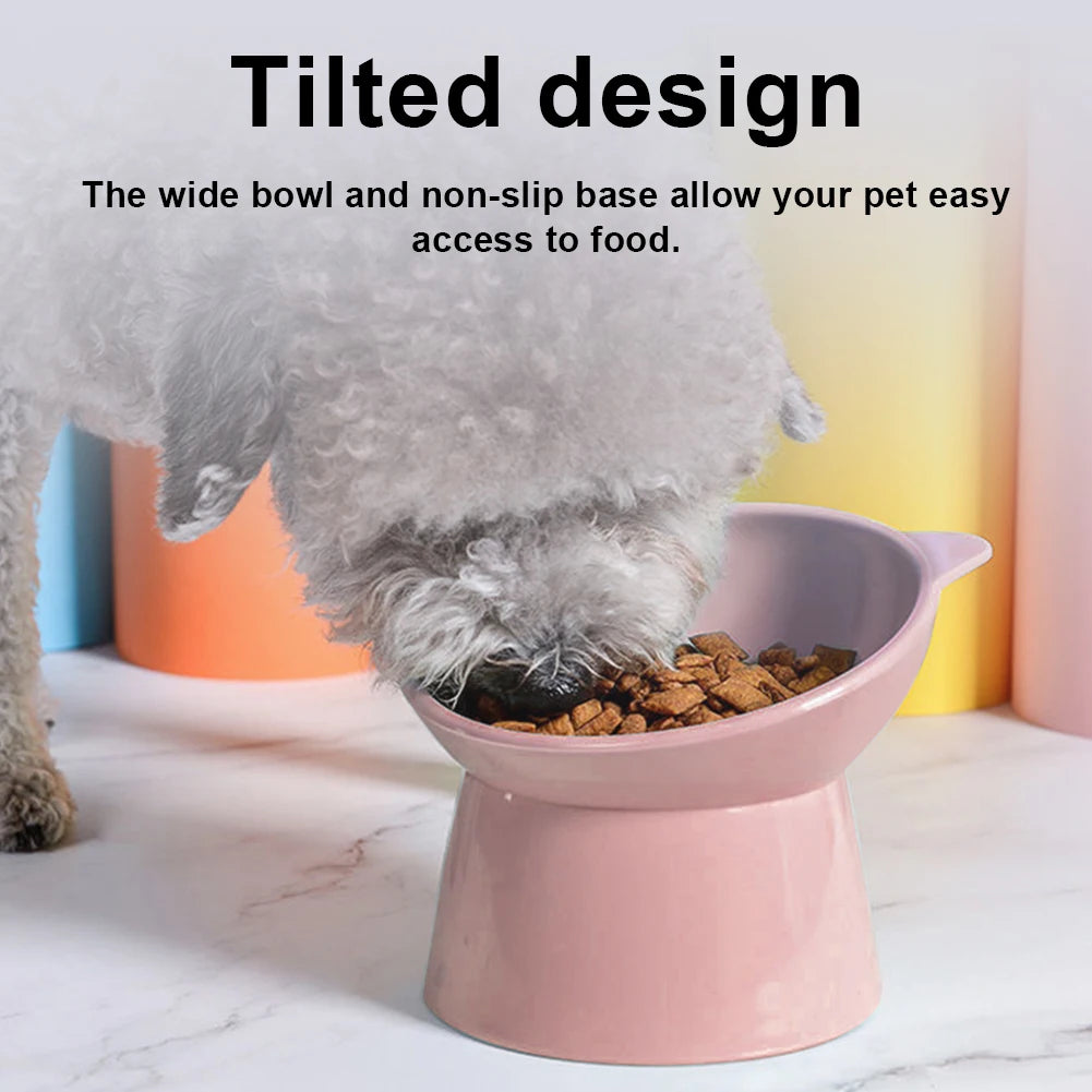 Tilted Cat Food Bowl